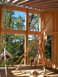 Framed up island cabin, ely mn, huismanconcepts.com
