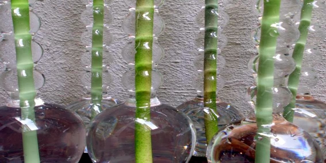 Plantas, flores y velas ....para decorar, para disfrutar ... Como decorar un jarron de cristal