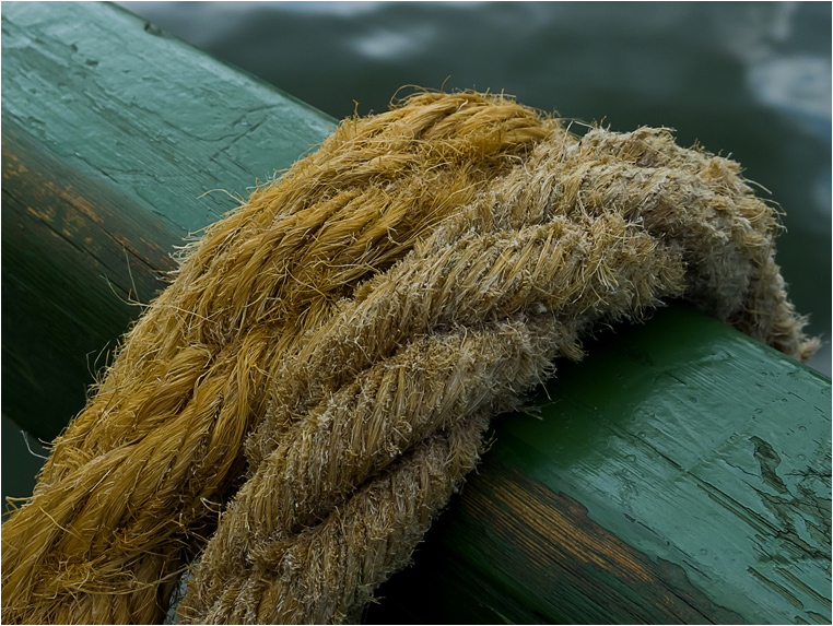 emphoka, photo of the day, Ufuk Tozelik, Olympus XZ-1 emphoka, photo of the day, Ufuk Tozelik, Olympus XZ-1