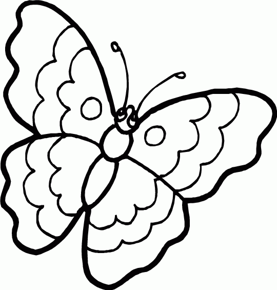 Desenhos de Borboletas para Colorir e Imprimir Toda Atual Desenhos de Borboletas para Colorir e Imprimir Toda Atual