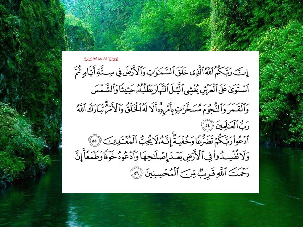 Aghnia S Collections 2012