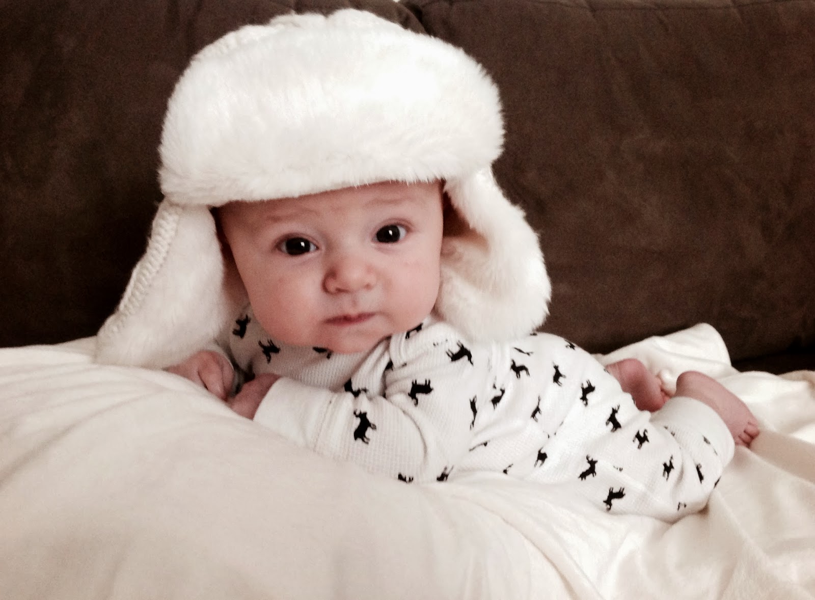 a little pinch of color January Baby Pics