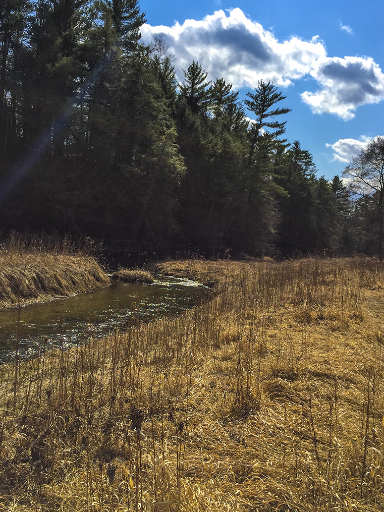 Wisconsin Explorer Hiking the Kickapoo Valley Reserve Billings Creek