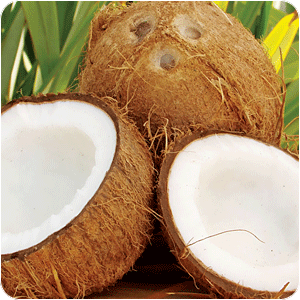 Benefits Of Coconut Milk Benefits Of Coconut Milk