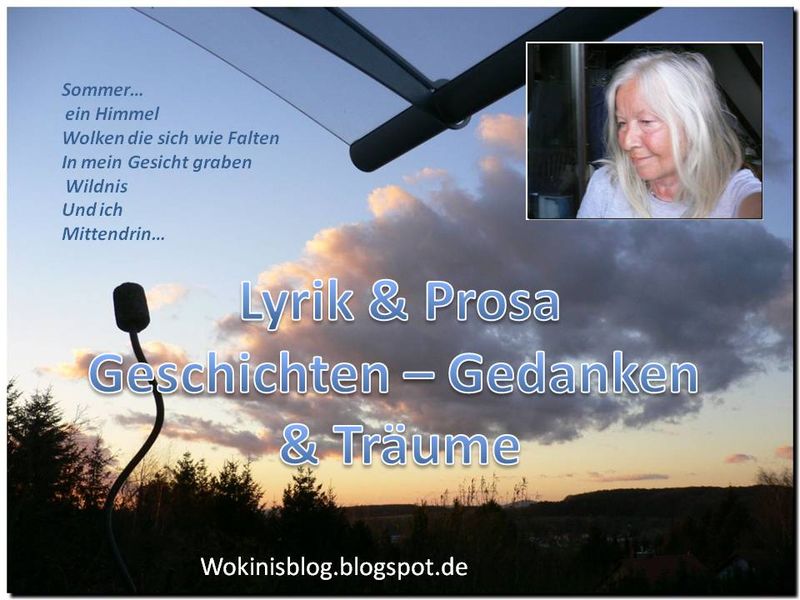 wokinisblog von Angelface