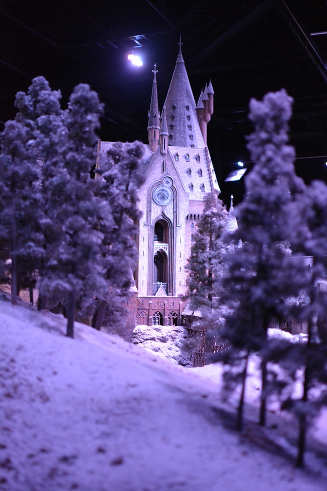 HOGWARTS IN THE SNOW REVIEWS visual data 6