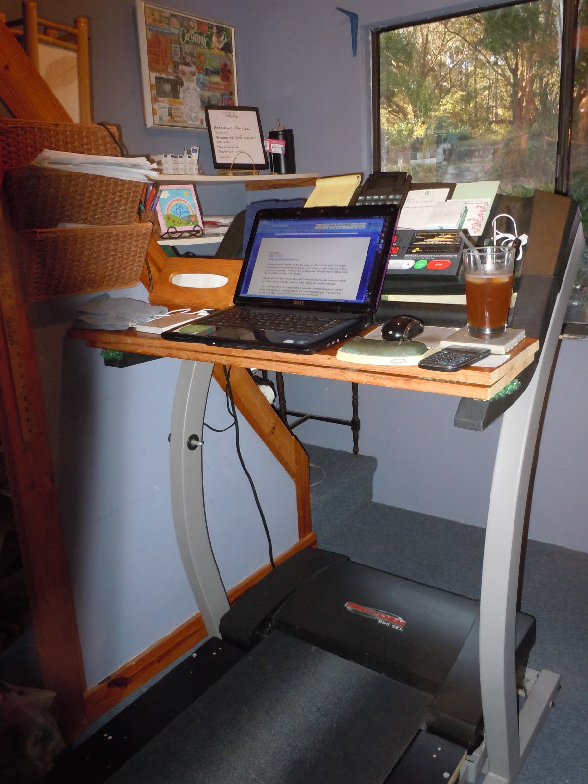 Simply Living Celebrating a year of walking while working