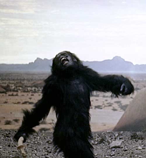 Afficher l'image d'origine