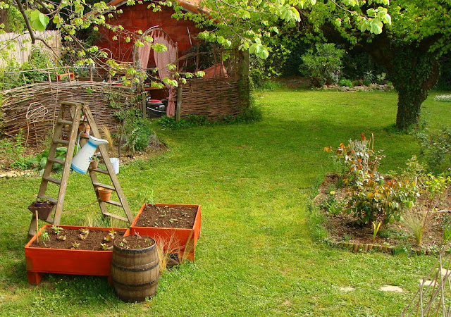 Vegetal Art La Minute Jardin Sur France Bleu Berry Societe D