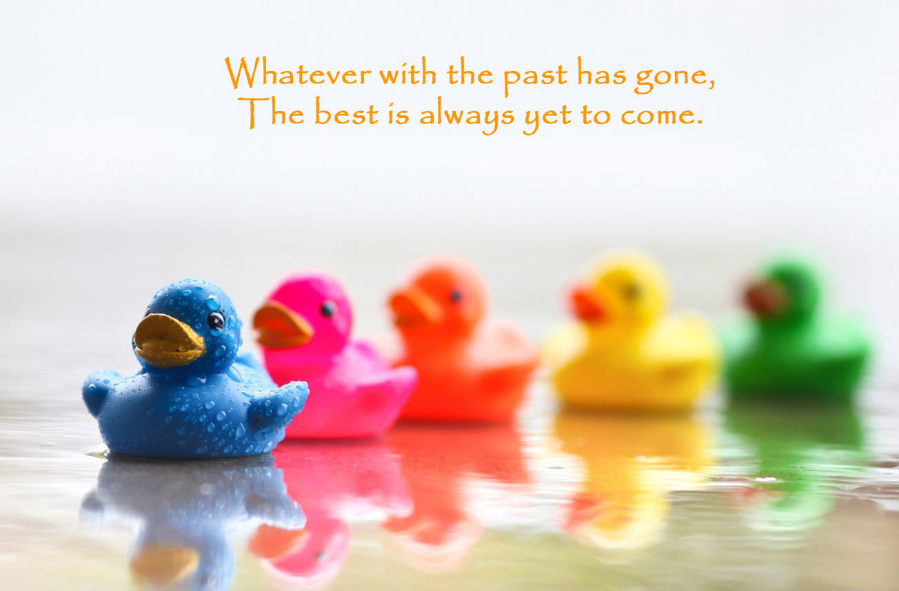 http://4.bp.blogspot.com/-_jrFFcZxvP8/T6wBzI77WQI/AAAAAAAAFLk/aLn6ySP9YfY/s1600/plastic_ducks_hd_widescreen_wallpapers_1440x900.jpeg