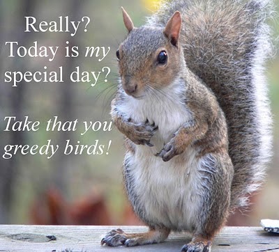 spiritually directed...: Squirrel Day!