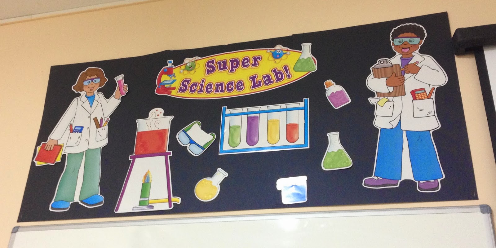 SCIENCE IN THE SCHOOL Displays