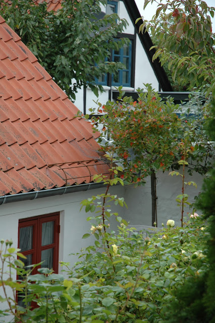 Havetid: to haver i ebeltoft.