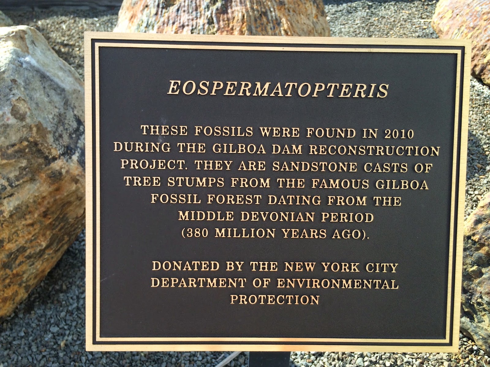 venturing4th Gilboa Forest