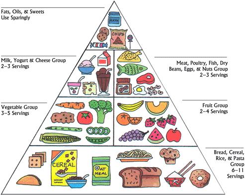 Food Group Pyramid Chart