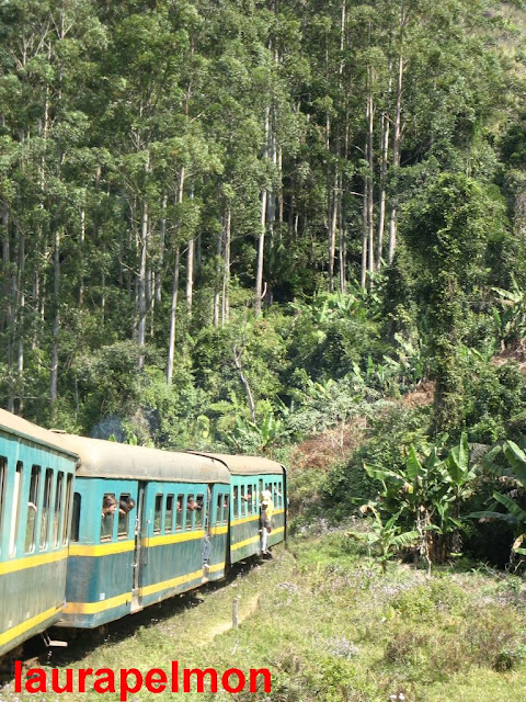 El tren de Manakara