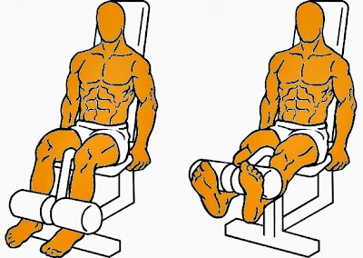 ectomorfo ectomorfo