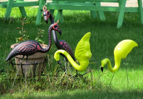 green flamingos