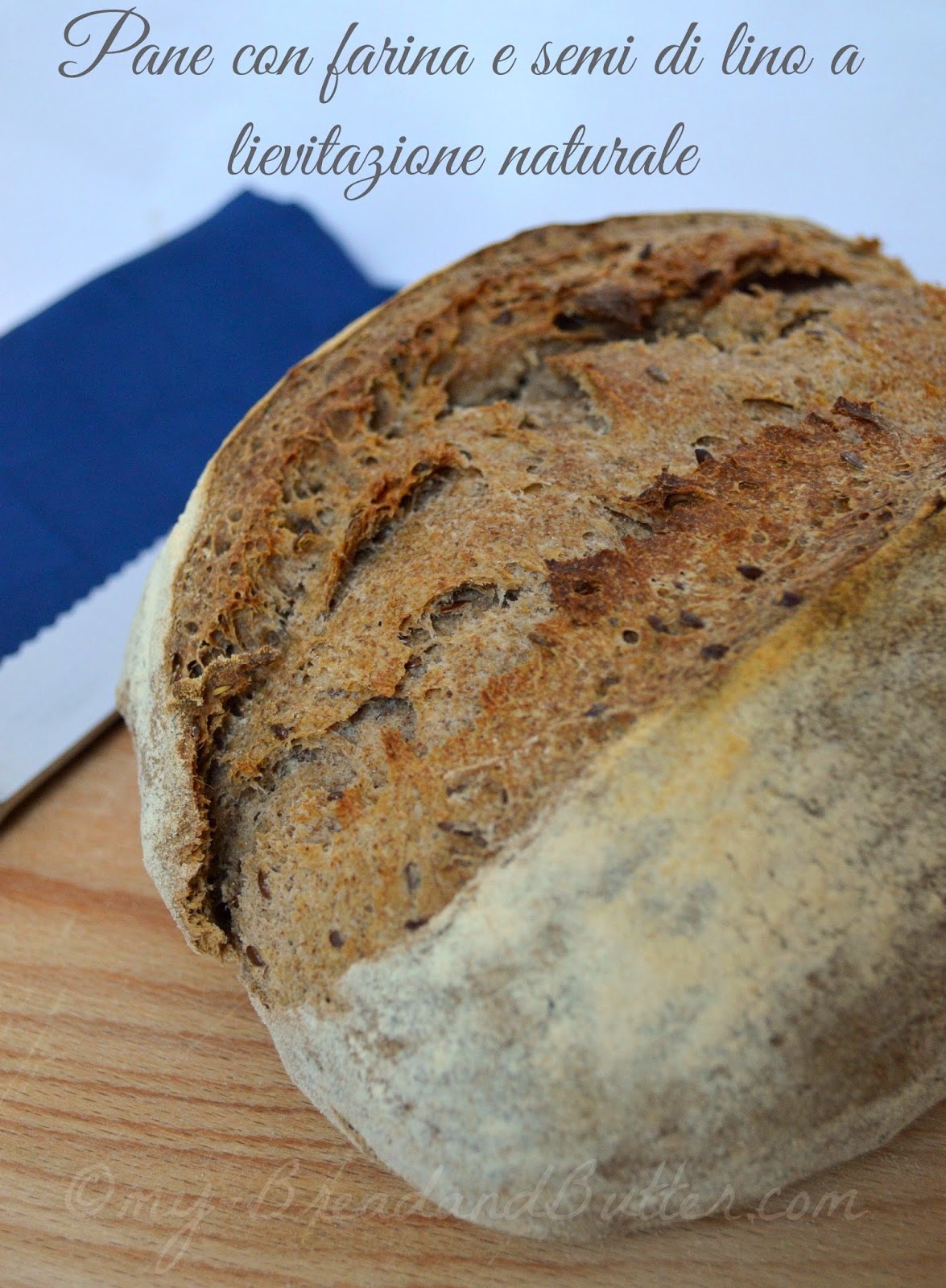 Pane con semi e farina di semi di lino Bread with linseeds and linseeds flour
