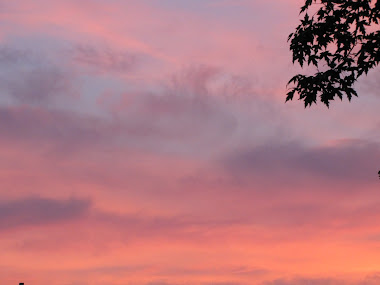 Sunset framed by leaves - Ohio