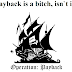 13 Anonymous Members indicted and accused of participating in 'Operation Payback'