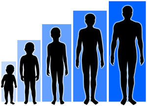 Tips Menambah Tinggi badan | Cara Alami Meninggikan Badan