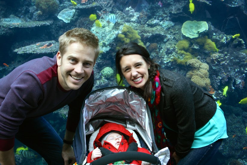 Oy! The 11th Day Holiday Fun at The Aquarium!