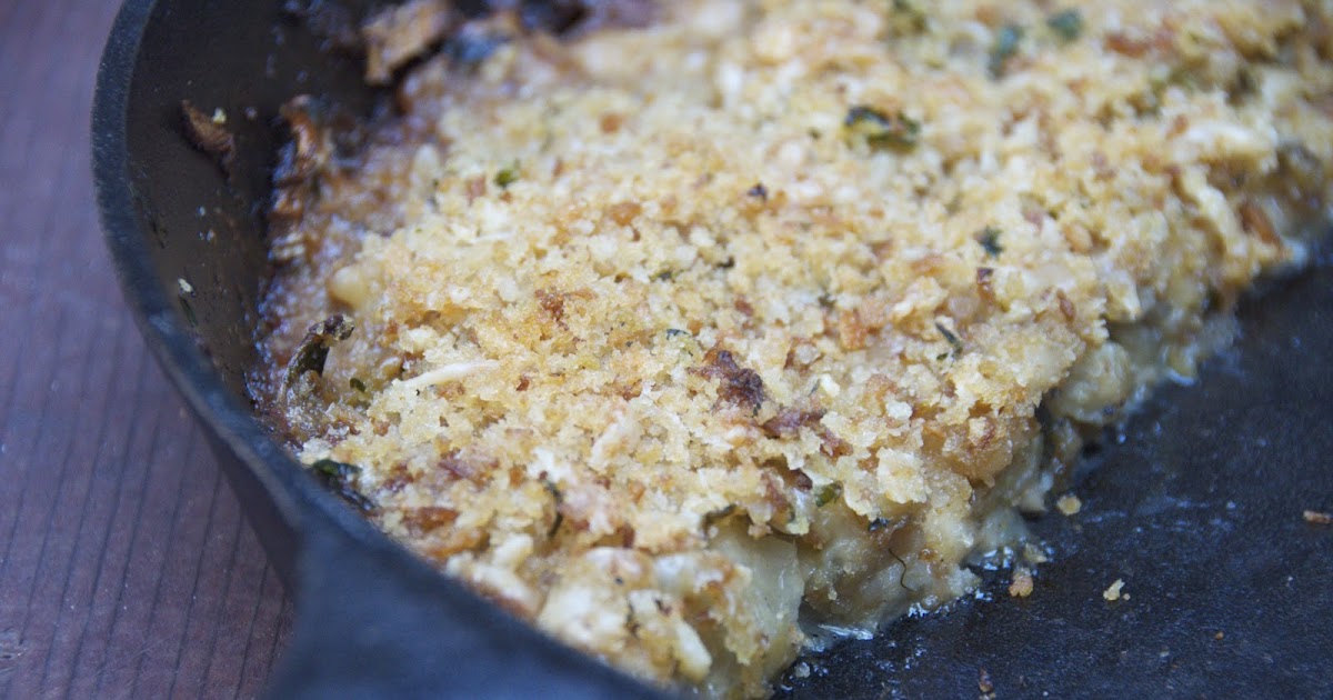 see you in the morning fennel white bean gratin with parmesan and lemon