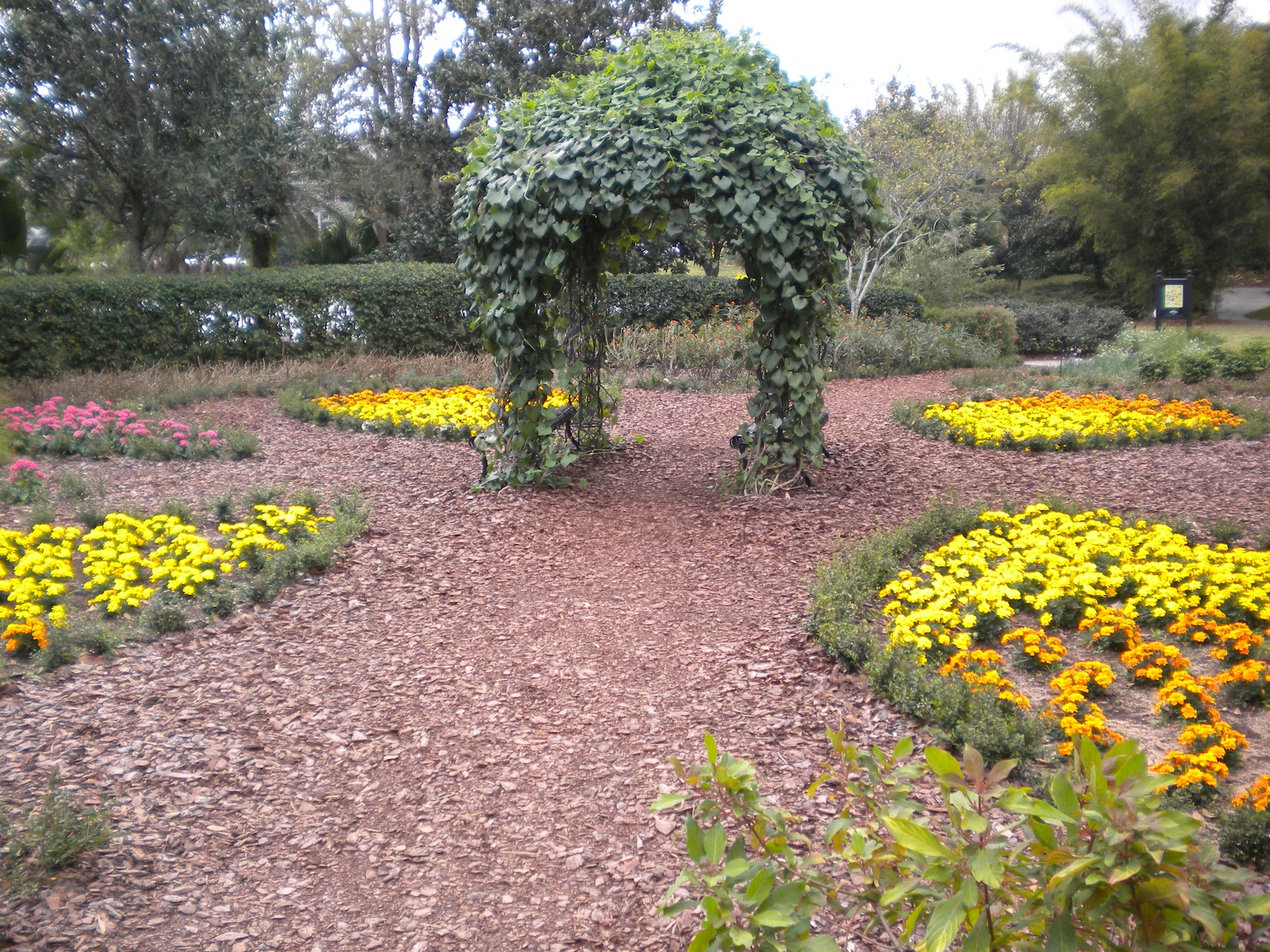 Rosemary's Sampler Universal Studios Butterfly Garden
