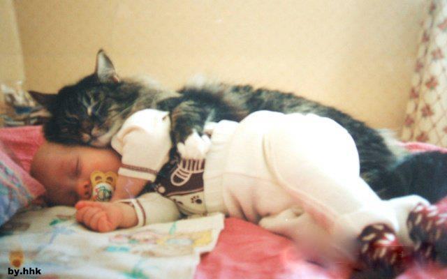 Cat is hugging baby