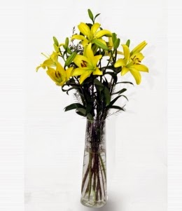 Top Yellow Lilies delivery in Bolivia Top Yellow Lilies delivery in Bolivia