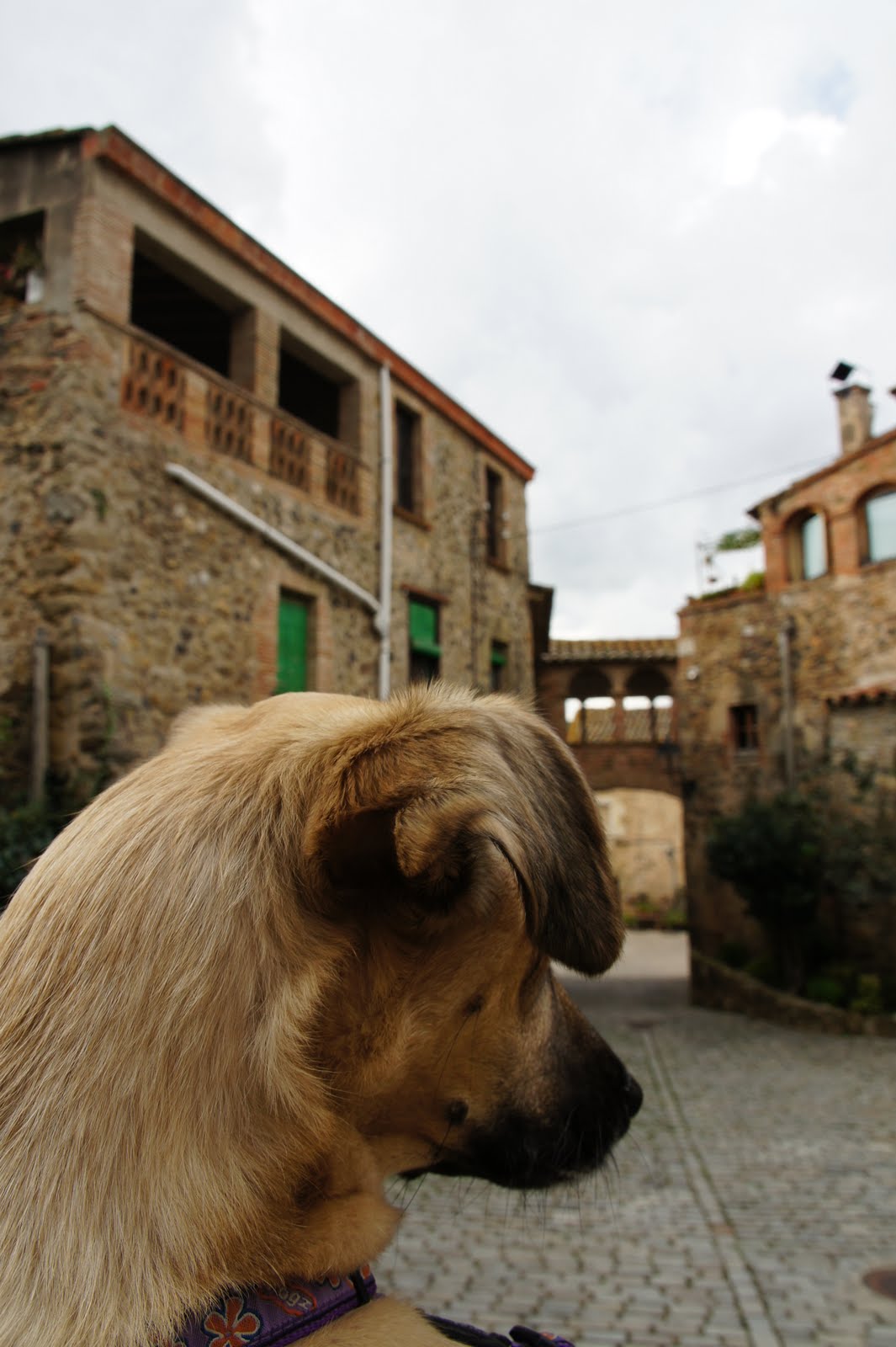 Las Crónicas de Yeria Púbol