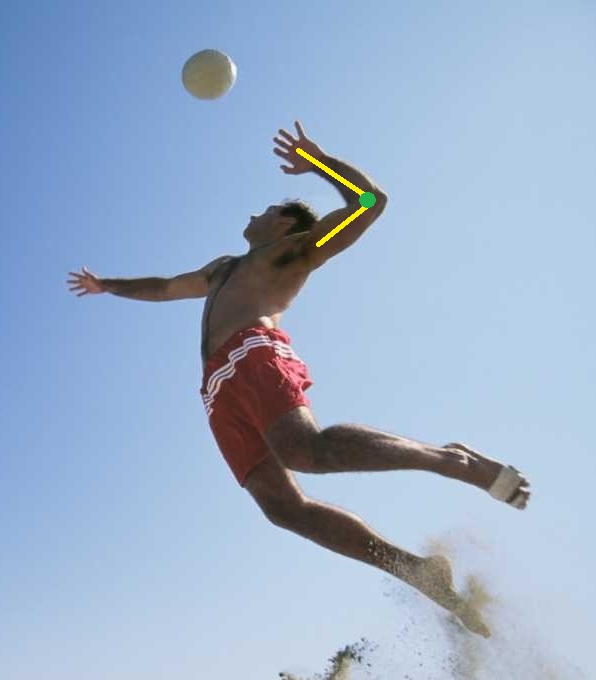 Biomechanics of a Volleyball Spike HLPE3531 PRIMARY QUESTION ANSWER