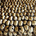 País teve 50 mil mortes em 2012