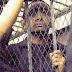 سوزان مبارك تصف تامر حسني بالحيوان وتهدده بدخول السجن مرة الثانية