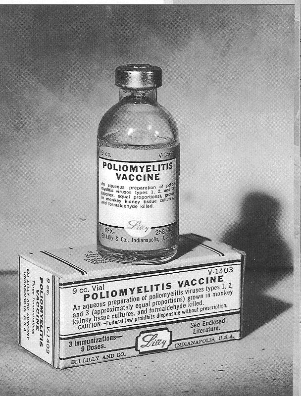 ipv vaccine
