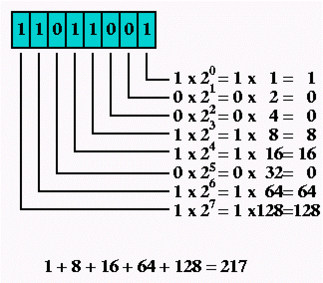 7 binary digits