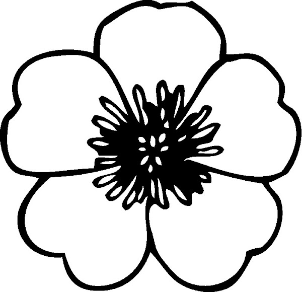 White Hawaiian Flowers Clip Art