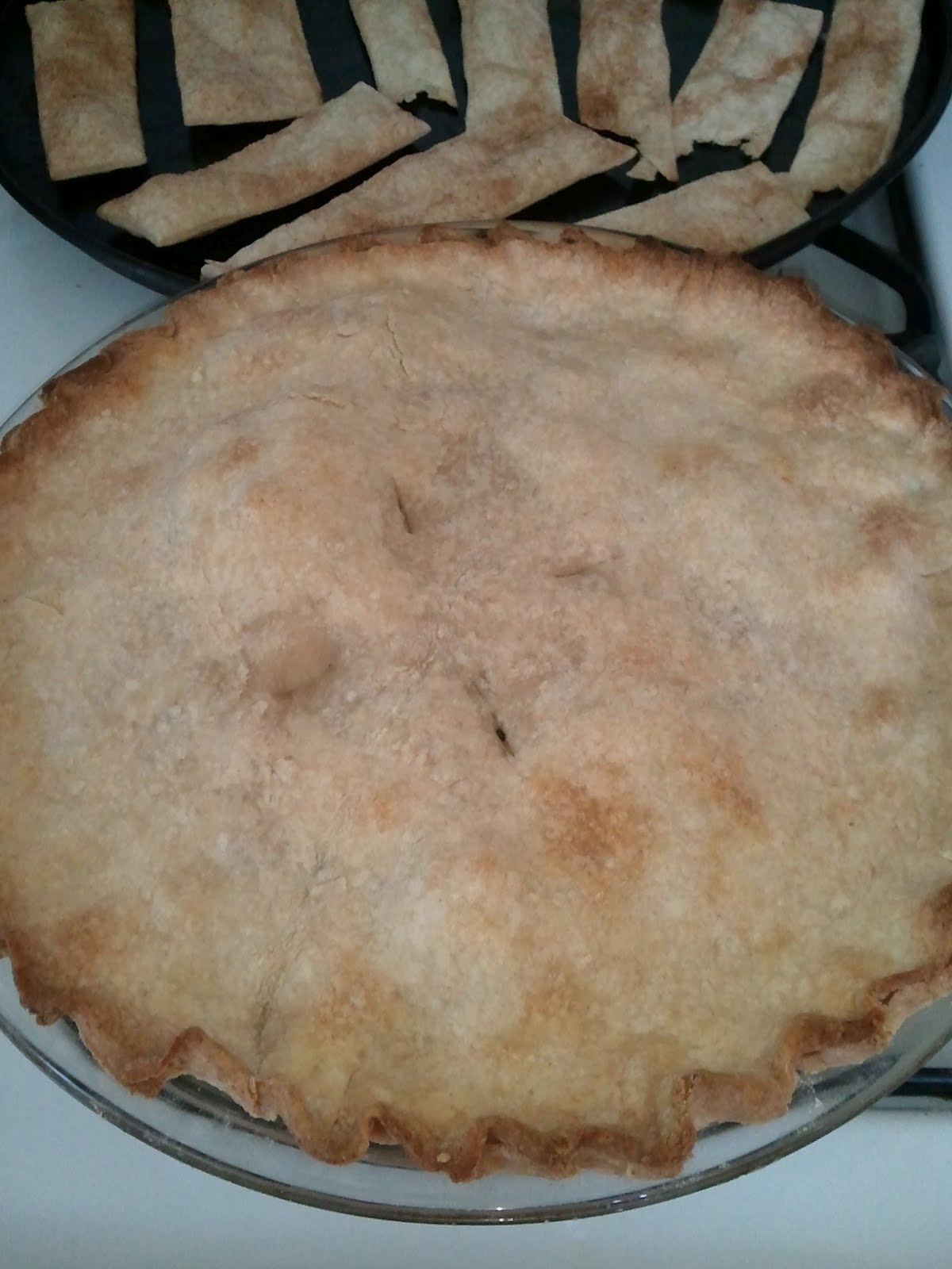 Provident Plenty Freezer Food Chicken Pot Pie Tutorial