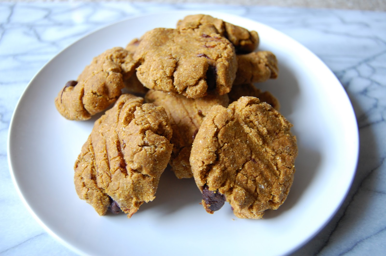 Paleo Protein Pumpkin Cookies The Active Habitat