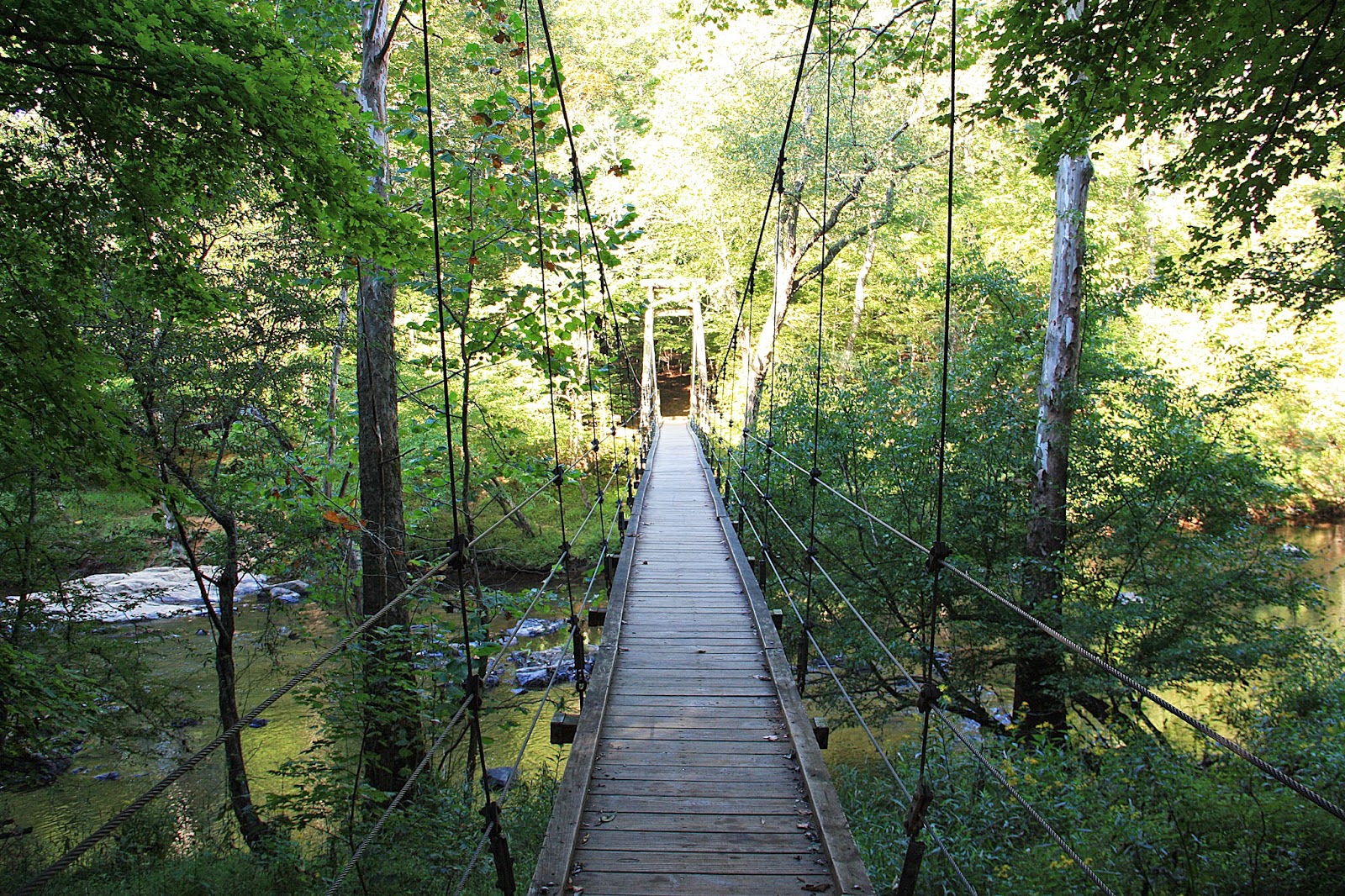 A is for Adventure Eno River State Park Cox Mountain Trail