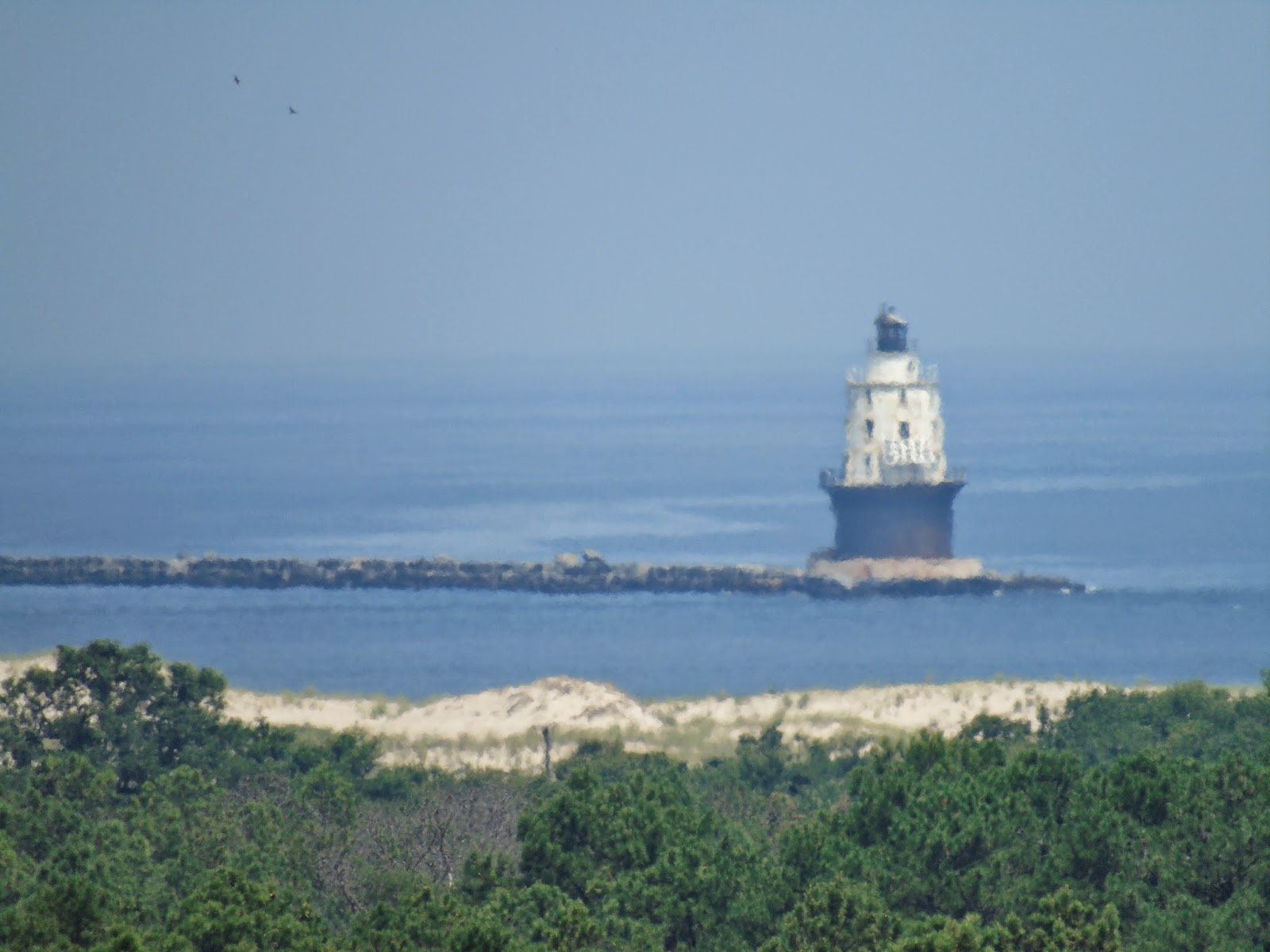 The Wine Sisters Book Club Herring Point at Cape Henlopen State Park