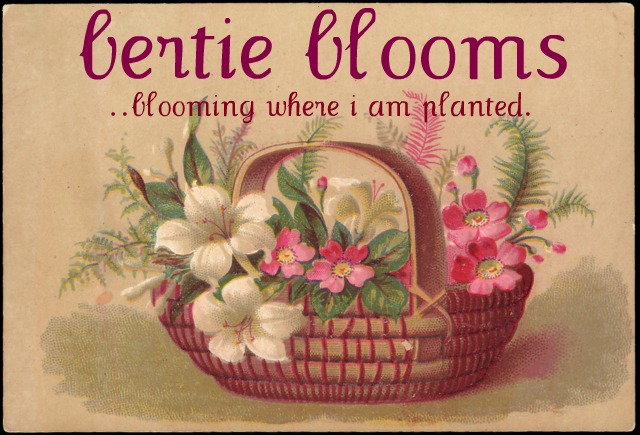 bertie blooms