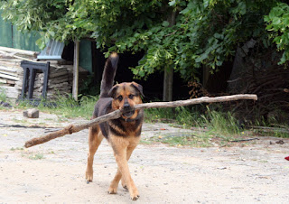 Big stick Big stick