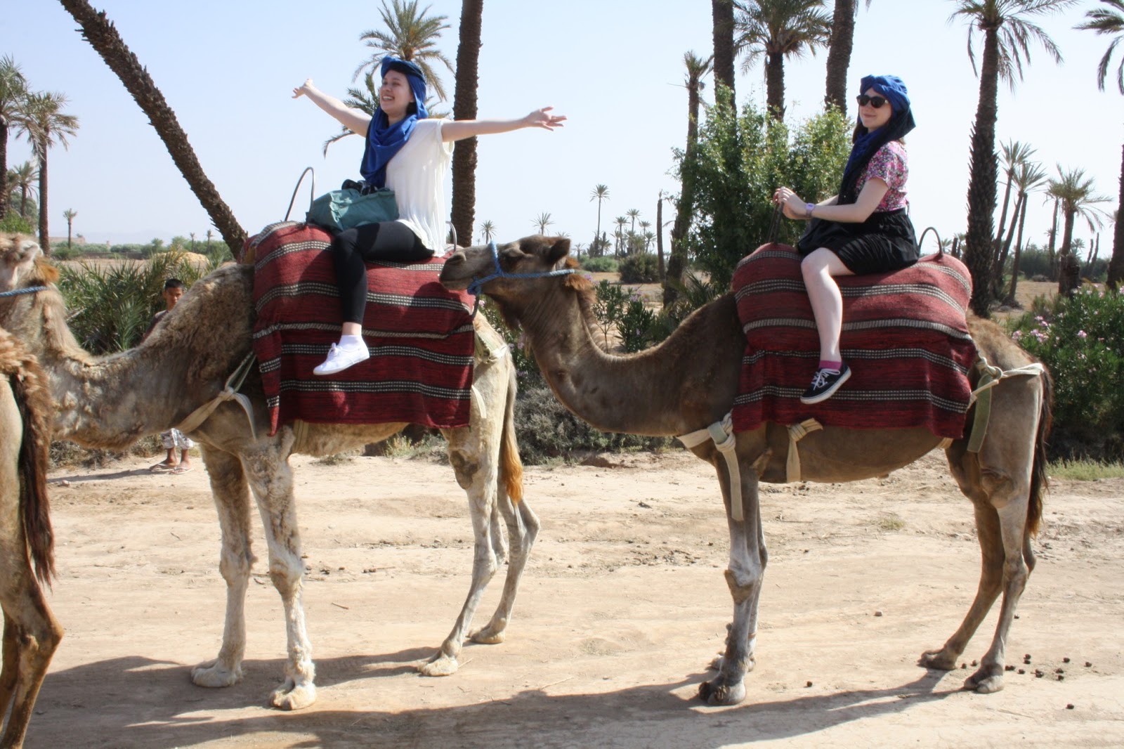 Becoming a Londoner: Camel Rides Marrakesh