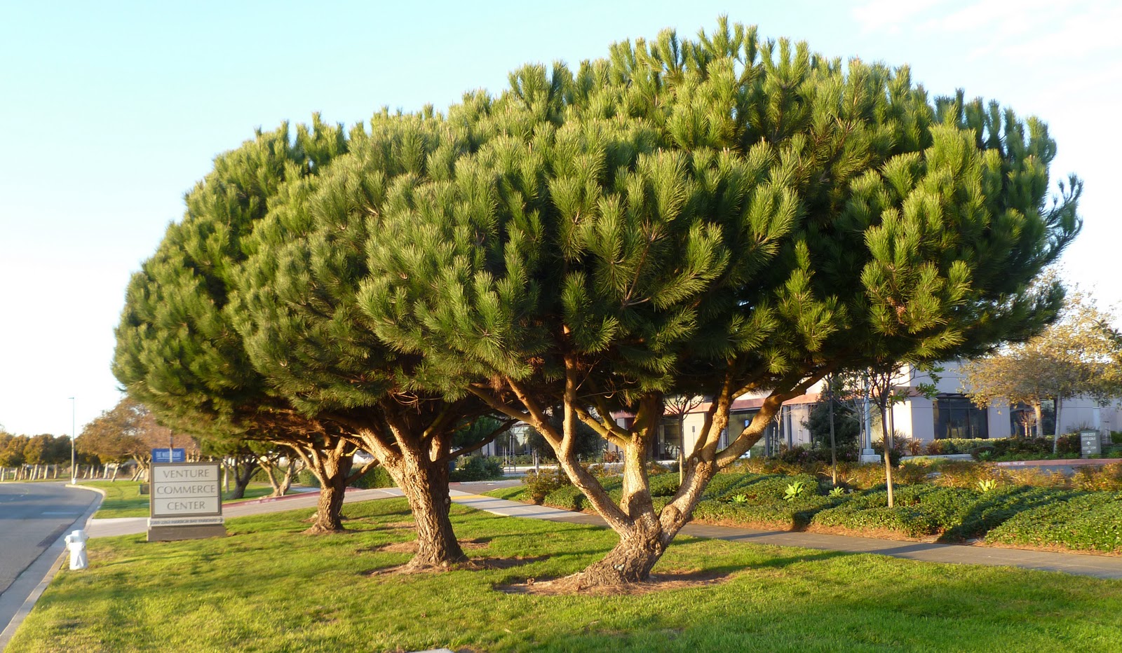 By A Thread EXPERIENCING THE NATURAL WORLD