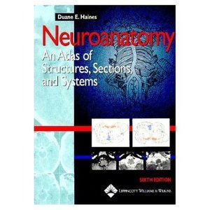 Atlas Of Morphology And Functional Anatomy Of The Brain Pdf