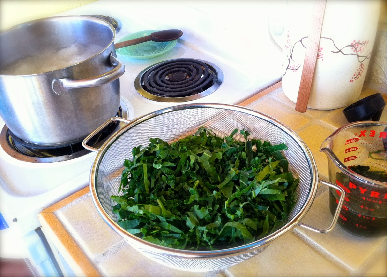 Positively Vegan Warm KaleNoodle Salad