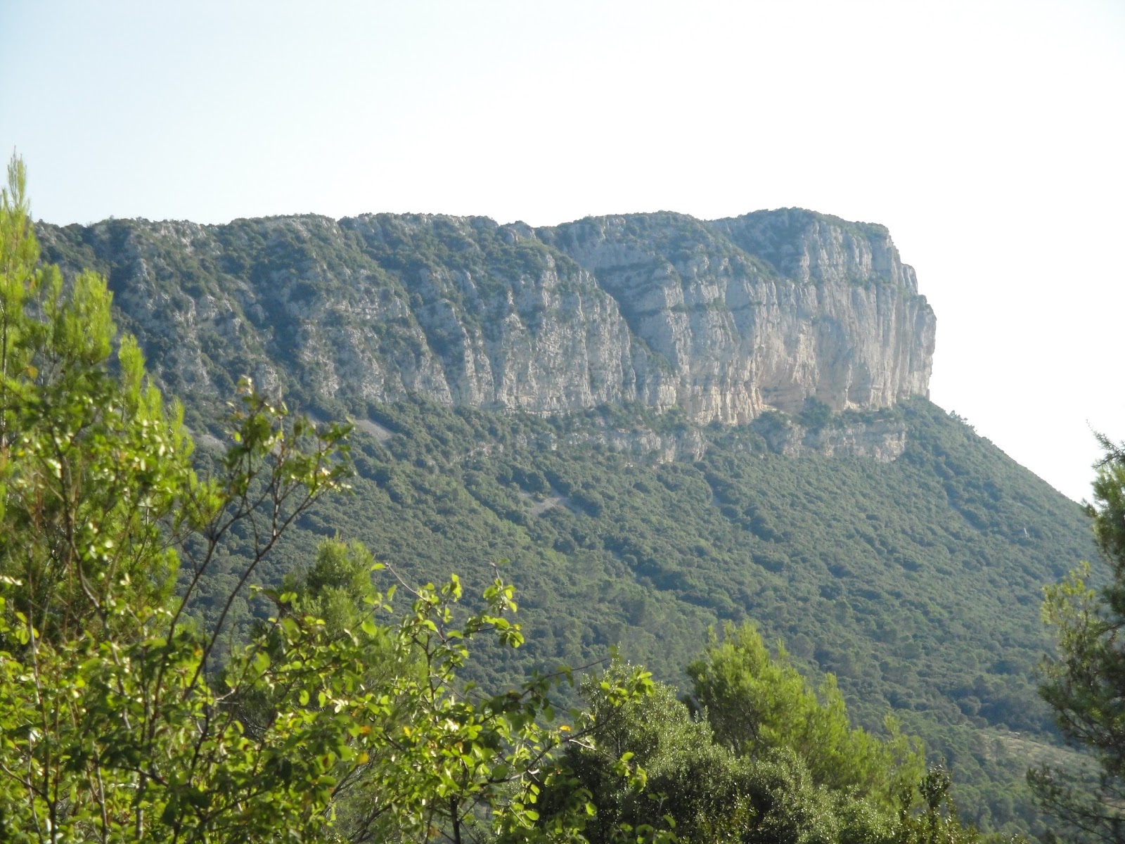 Trail&CO Sport, Voyage et Outdoor Courir à Montpellier et aux alentours le top 10 de mes
