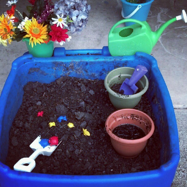 Little Moments Real Dirt, Fake Flowers